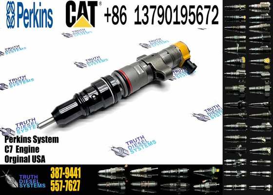 OE Quality diesel Fuel Common Rail Injector 387-9441 3879441 for CAT C7 Engine