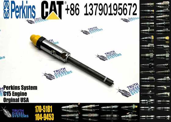 Fuel Injector 153-7923 162-0212 162-8809 162-8813 170-5181 171-9704 171-9710 172-5780 174-7526