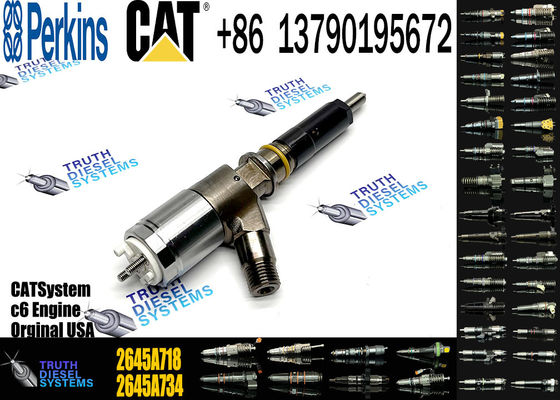Common rail Fuel Injector 2645A718 2645A734 2645A747 For Perkins Engine 1104D-E44TA Caterpillar C4.4 C6.6 M315D M318D M322D