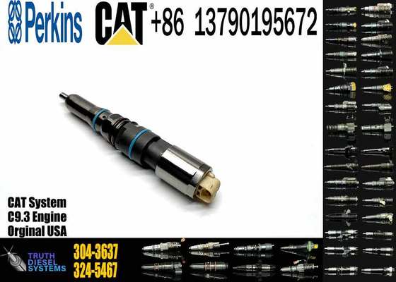Common Rail Fuel Injector 304-3637 324-5467 342-5487