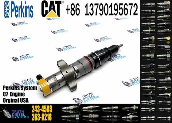 Diesel Engine C7 C9 Fuel Injector 243-4503 2434503 295-1409 2951409