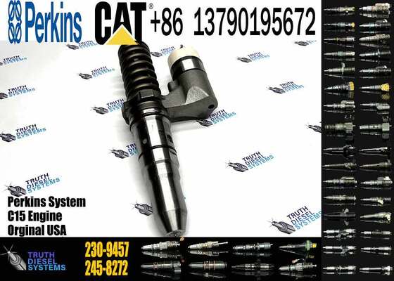 New Common Rail Injector 230-9457 249-0746 386-1769 392-0200 392-0201 392-0202 for diesel Engine CAT