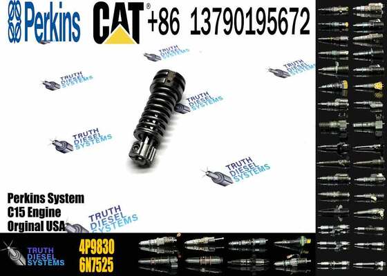 Construction Machinery Parts Fuel Injection Pump Plunger 4P9830 1W6541 7W5929 for Cat Engine 3304 3306 Plunger