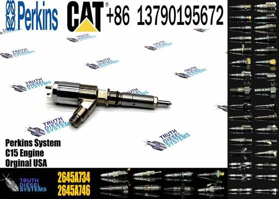 New Quality Common Rail Fuel Injector 306-9380 2645A734 Engine Fuel Injector for Engine C6.6 924HZ Inyector Injecteur
