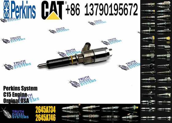 New Quality Common Rail Fuel Injector 306-9380 2645A734 Engine Fuel Injector for Engine C6.6