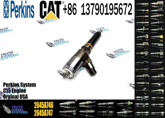 Quality Common Rail Fuel Injector 320-0677 2645A746 10R-7671 2645A738 3200677 3069377 Engine Fuel Injector for Engine 320D C4.4
