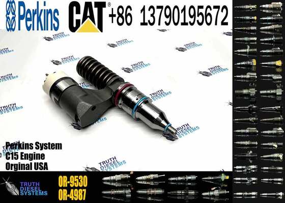Excavator Injector 161-1785 10R-0725 10R-0967 0R-9530 116-8805 116-5414 for C12 Engine Parts Diesel Nozzle Assembly