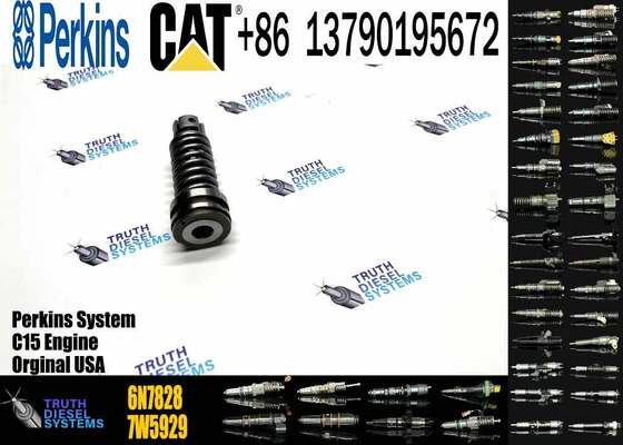 High Quality Fuel Injection Pump Plunger 9H5797 1W6541 7W5929 6N7828 7W6929 HRCA4P9830 for Excavator
