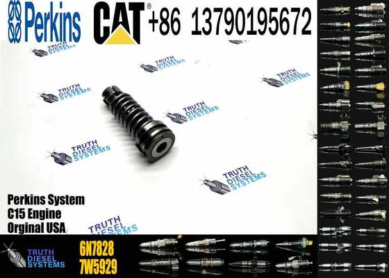 High Quality Fuel Injection Pump Plunger 9H5797 1W6541 7W5929 6N7828 7W6929 HRCA4P9830 for Excavator