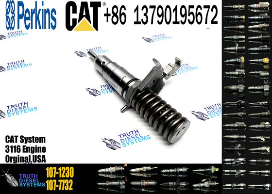 Wholesale High-performance Fuel Components Diesel Fuel Injector 127-8216 127-8230 173-4647 107-1230 for CAT 3116 Diesel Engine